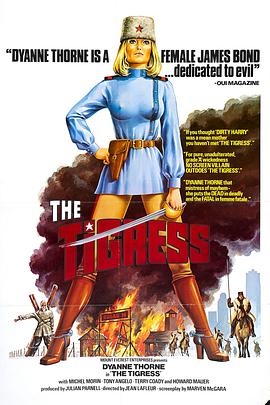 黑帽seo要学哪些